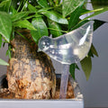 Pink tulip plant watering balls, suitable for indoor and outdoor plants, automatic plant drippers, and automatic watering