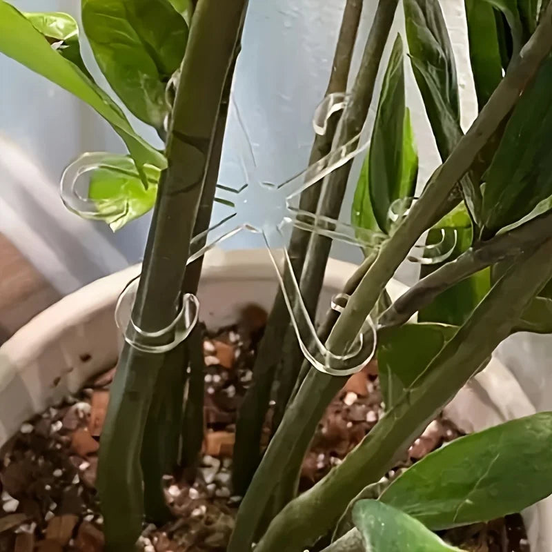 Plant Stem Support Clips, Flower Stem Gathering Frame, Support Fixer - Anti-Toppling, Hydroponic Branch Fixing Pot Rack ,garden